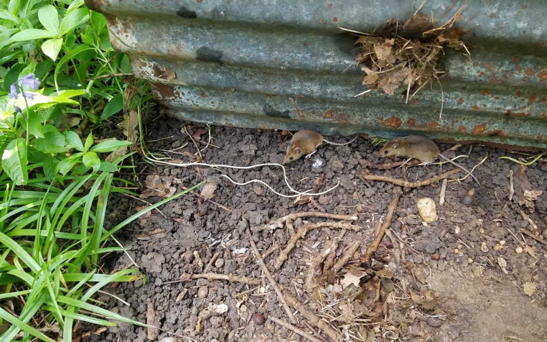 Much to discover……